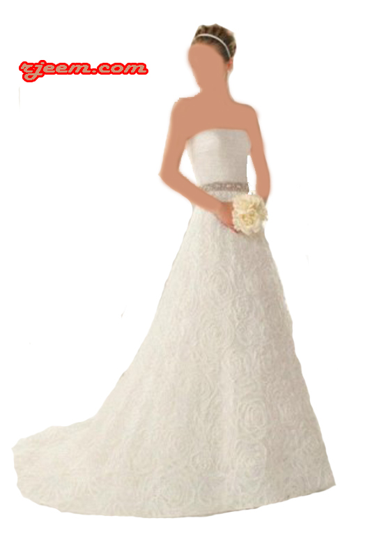 2013 2013 Wedding Dresses 13559510011.jpg